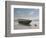 Green Boat-Zhen-Huan Lu-Framed Giclee Print