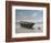 Green Boat-Zhen-Huan Lu-Framed Giclee Print