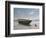 Green Boat-Zhen-Huan Lu-Framed Giclee Print