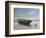 Green Boat-Zhen-Huan Lu-Framed Giclee Print