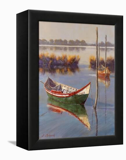 Green Boat-Nenad Mirkovich-Framed Stretched Canvas