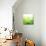 Green Bokeh Abstract Light--Vladimir--Premium Giclee Print displayed on a wall
