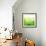 Green Bokeh Abstract Light--Vladimir--Framed Premium Giclee Print displayed on a wall