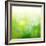 Green Bokeh Abstract Light--Vladimir--Framed Premium Giclee Print