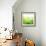 Green Bokeh Abstract Light--Vladimir--Framed Art Print displayed on a wall