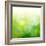 Green Bokeh Abstract Light--Vladimir--Framed Art Print