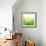 Green Bokeh Abstract Light--Vladimir--Framed Art Print displayed on a wall