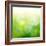 Green Bokeh Abstract Light--Vladimir--Framed Art Print