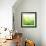 Green Bokeh Abstract Light--Vladimir--Framed Art Print displayed on a wall