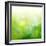 Green Bokeh Abstract Light--Vladimir--Framed Art Print