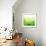 Green Bokeh Abstract Light--Vladimir--Framed Art Print displayed on a wall