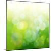 Green Bokeh Abstract Light--Vladimir--Mounted Art Print