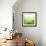 Green Bokeh Abstract Light--Vladimir--Framed Art Print displayed on a wall