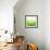 Green Bokeh Abstract Light--Vladimir--Framed Art Print displayed on a wall