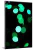 Green Bokeh-Erin Berzel-Mounted Photographic Print