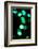 Green Bokeh-Erin Berzel-Framed Photographic Print