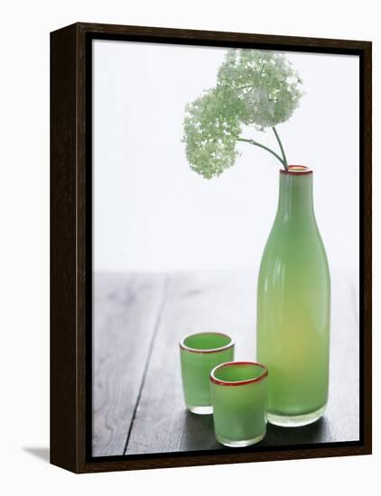 Green Bottle with Flowers and Green Glasses-Alena Hrbkova-Framed Premier Image Canvas