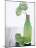 Green Bottle with Flowers and Green Glasses-Alena Hrbkova-Mounted Photographic Print