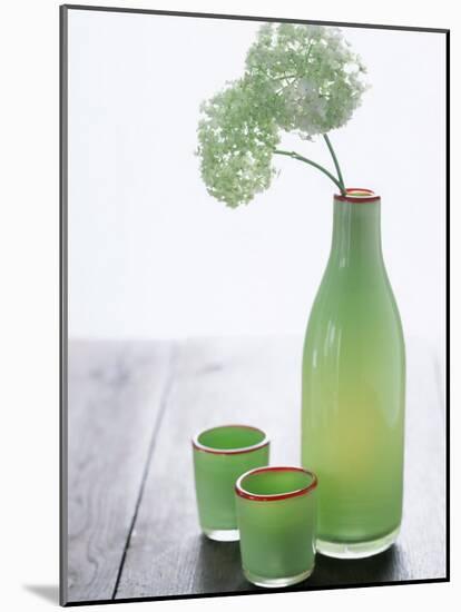 Green Bottle with Flowers and Green Glasses-Alena Hrbkova-Mounted Photographic Print