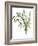 Green Bouquet I-Melissa Wang-Framed Art Print