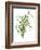 Green Bouquet II-Melissa Wang-Framed Art Print