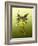 Green Butterfly Fae-Atelier Sommerland-Framed Art Print