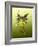 Green Butterfly Fae-Atelier Sommerland-Framed Art Print