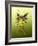 Green Butterfly Fae-Atelier Sommerland-Framed Art Print