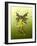 Green Butterfly Fae-Atelier Sommerland-Framed Art Print