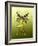 Green Butterfly Fae-Atelier Sommerland-Framed Art Print