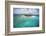 Green Cay in British Virgin Islands-Macduff Everton-Framed Photographic Print