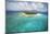 Green Cay in British Virgin Islands-Macduff Everton-Mounted Photographic Print