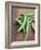 Green Chillies-Tara Fisher-Framed Photographic Print