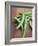 Green Chillies-Tara Fisher-Framed Photographic Print