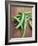 Green Chillies-Tara Fisher-Framed Photographic Print