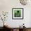 Green Cityscape-Paul Brent-Framed Art Print displayed on a wall