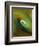 Green Color Swirl-Ruth Palmer 3-Framed Art Print