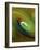 Green Color Swirl-Ruth Palmer 3-Framed Art Print
