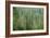 Green Coniferous Forest with Old Spruce, Fir and Pine Trees-zlikovec-Framed Photographic Print