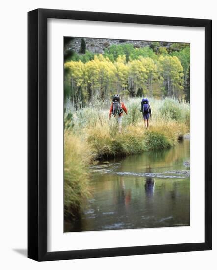 Green Creek, California, USA-null-Framed Photographic Print