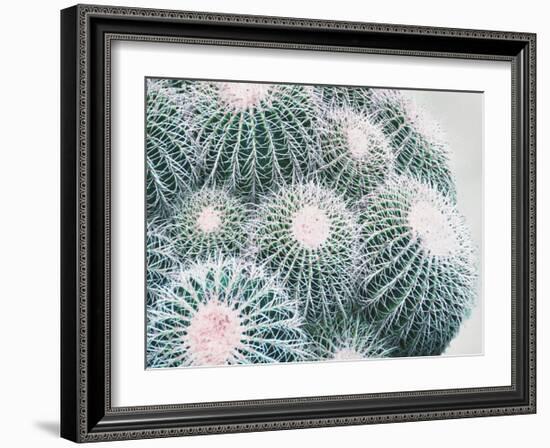 Green Crush III-Elizabeth Urquhart-Framed Art Print