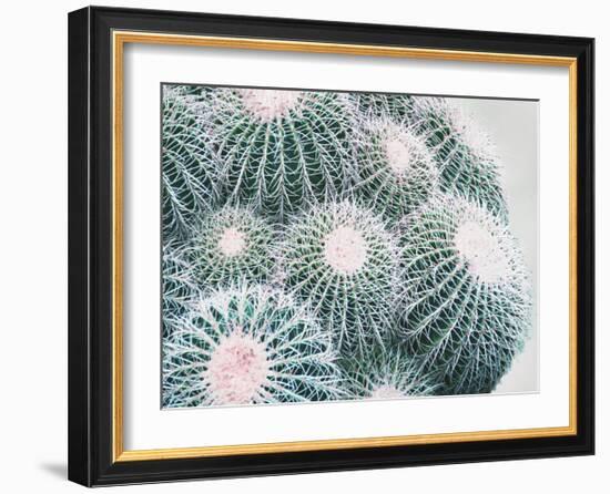 Green Crush III-Elizabeth Urquhart-Framed Art Print