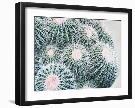 Green Crush III-Elizabeth Urquhart-Framed Art Print