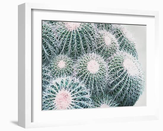 Green Crush III-Elizabeth Urquhart-Framed Art Print