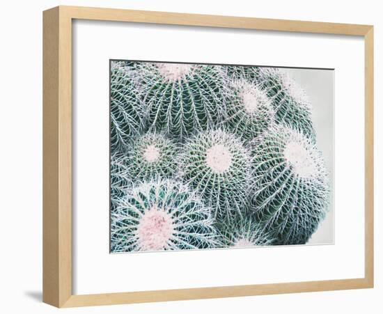 Green Crush III-Elizabeth Urquhart-Framed Art Print