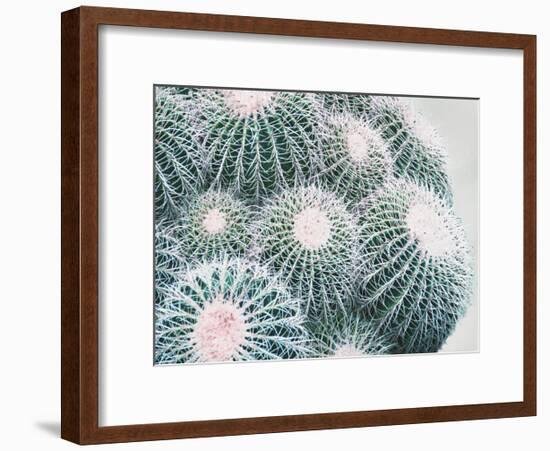 Green Crush III-Elizabeth Urquhart-Framed Art Print