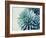 Green Crush IX-Elizabeth Urquhart-Framed Art Print