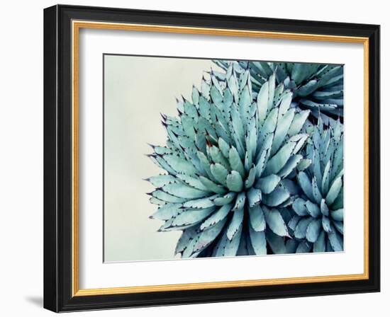 Green Crush IX-Elizabeth Urquhart-Framed Art Print