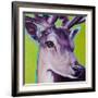 Green Deer-R Berghaus-Framed Art Print