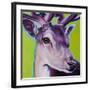 Green Deer-R Berghaus-Framed Art Print